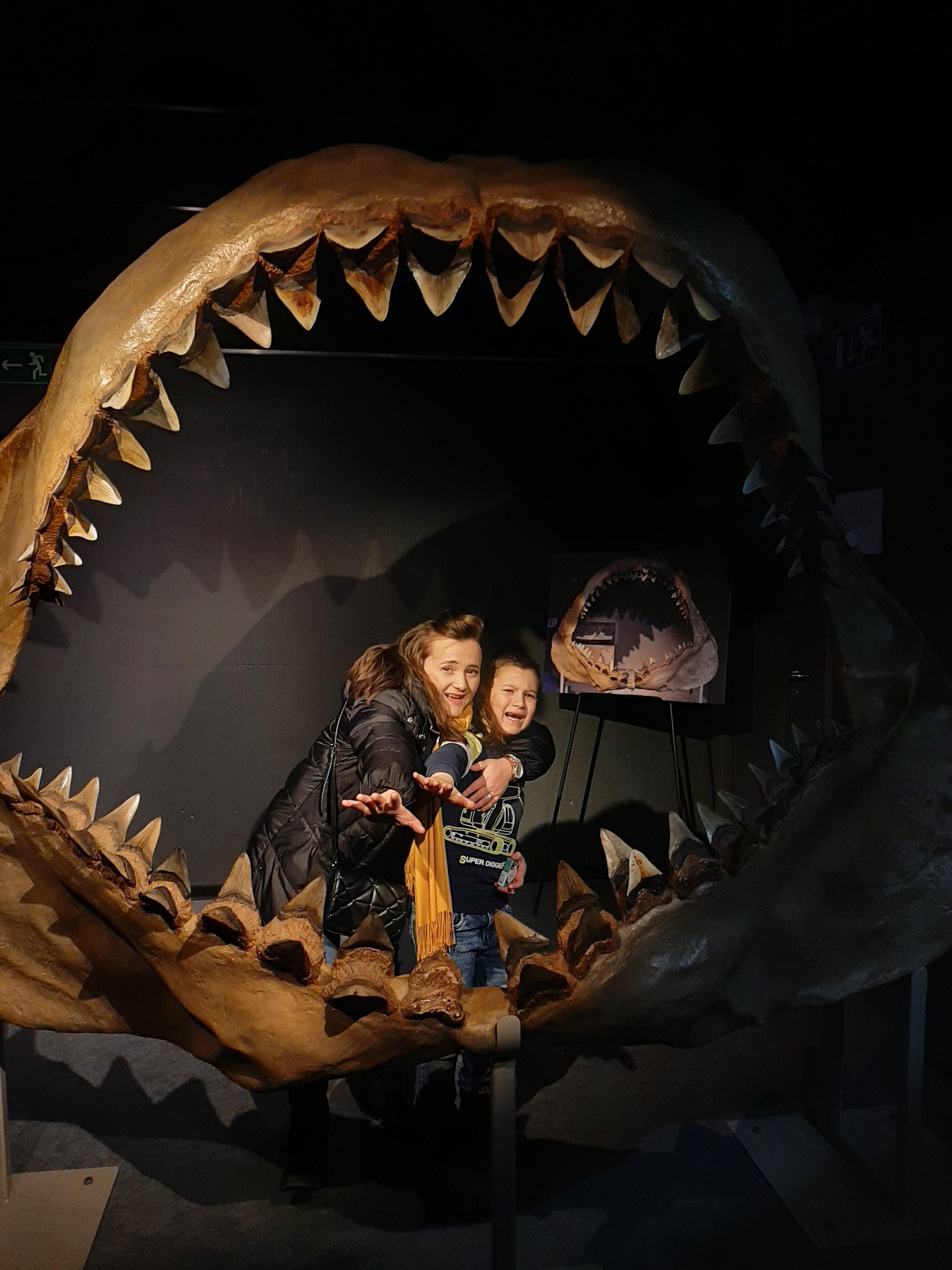 Acvariu, planetariu și animale împăiate la Aquarium – Museum Universitaire de Liège